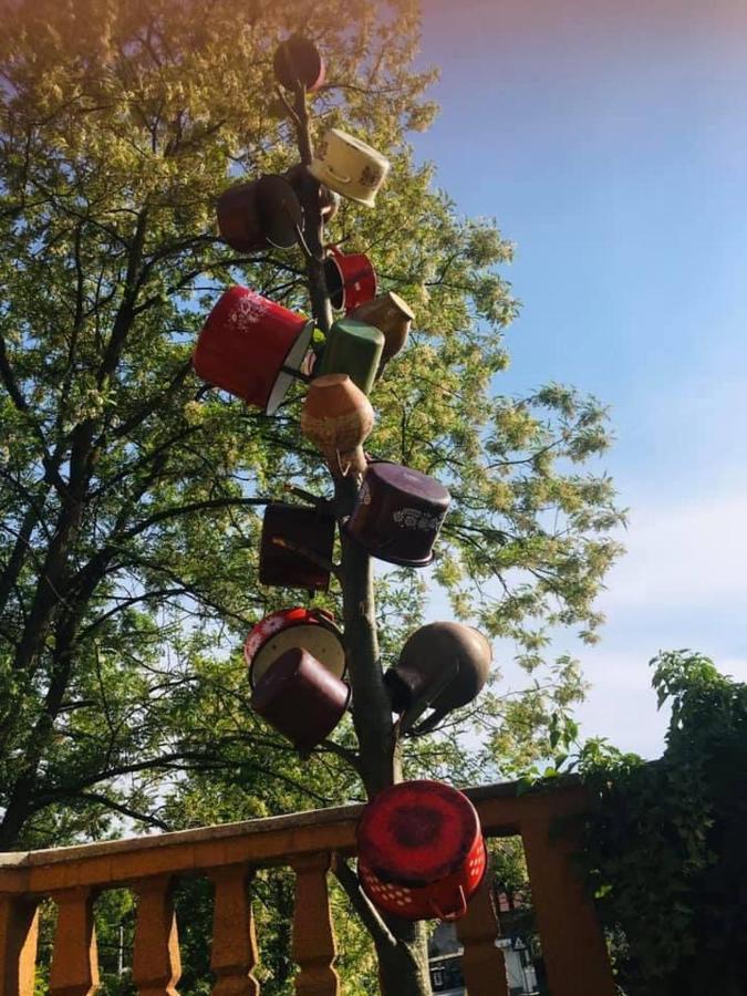 Pensiunea Casa Mariuca Văleni Zewnętrze zdjęcie
