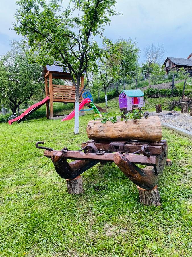 Pensiunea Casa Mariuca Văleni Zewnętrze zdjęcie